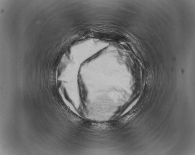 X0000062650469200601181814