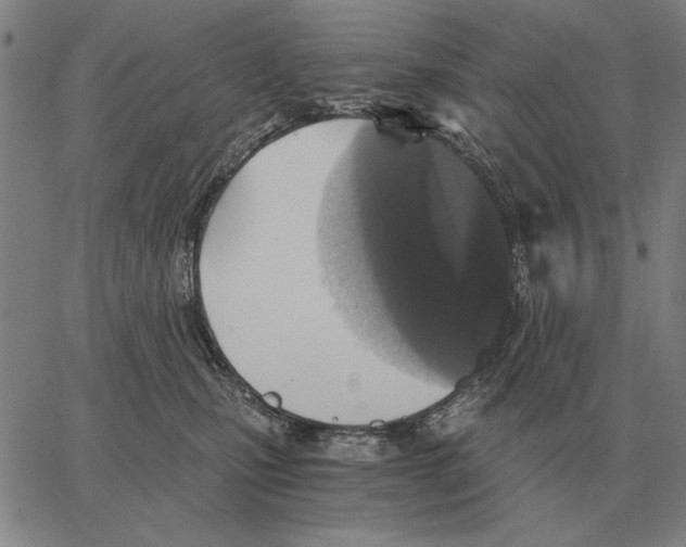 X0000062650471200601181814