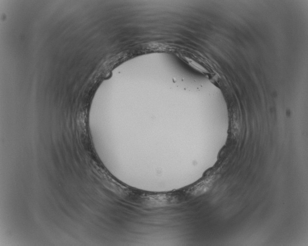 X0000062650473200601181814