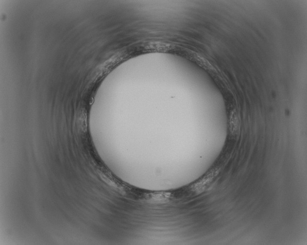 X0000062650474200601181814