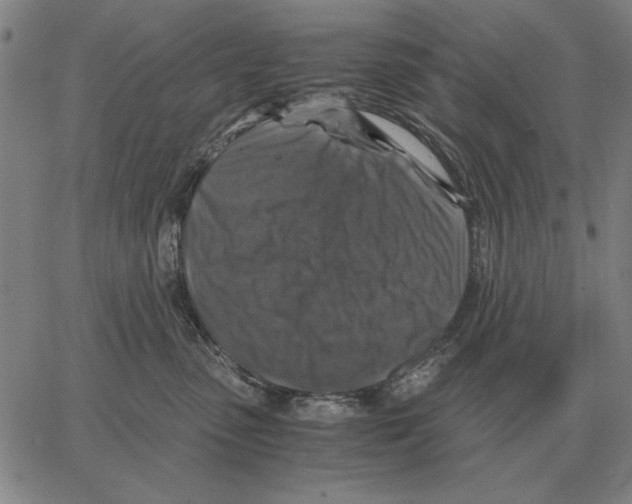 X0000062650475200601181814