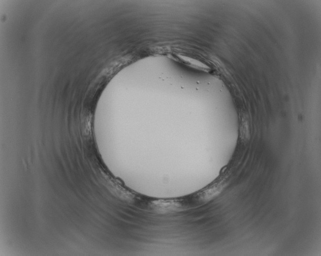 X0000062650477200601181814