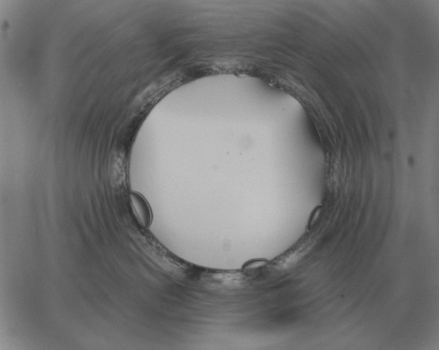 X0000062650478200601181814