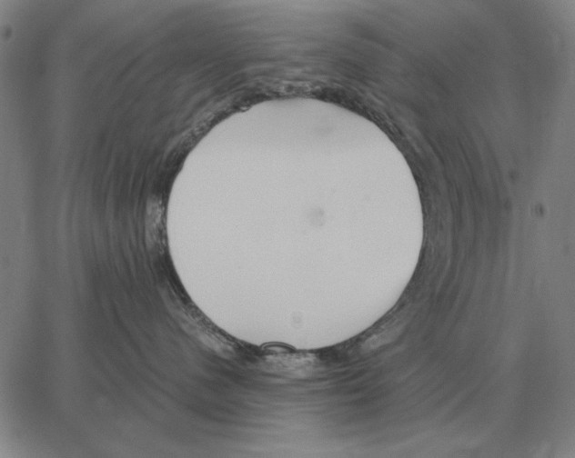 X0000062650480200601181814