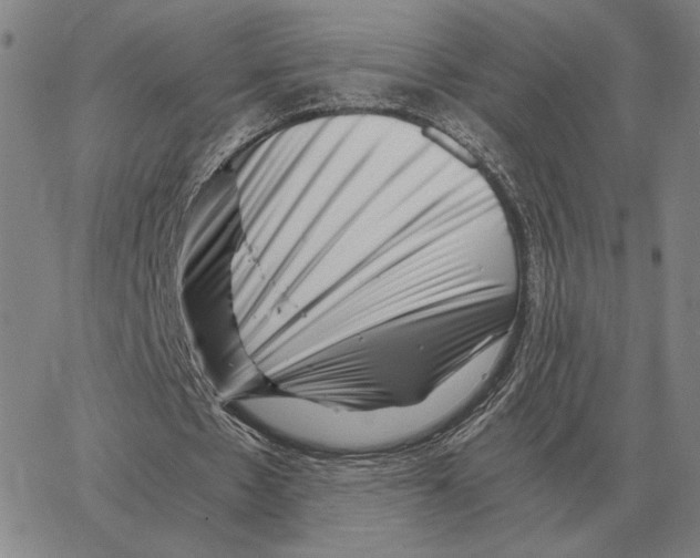 X0000062650481200601181814