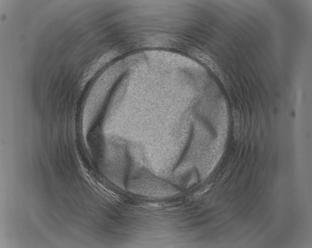 X0000062650482200601181813