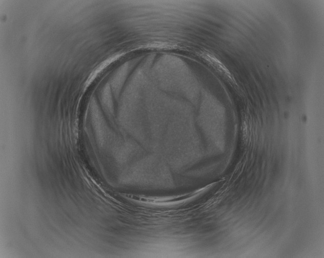 X0000062650484200601181813