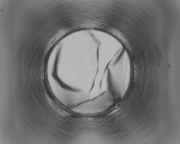 X0000062650486200601181813