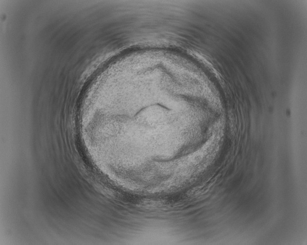 X0000062650487200601181813