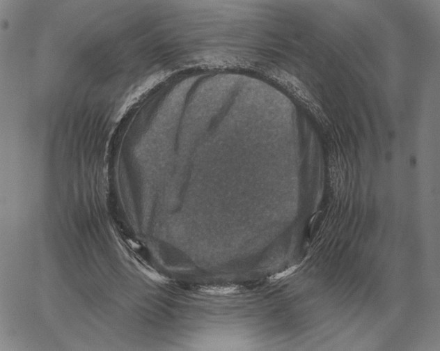 X0000062650488200601181813