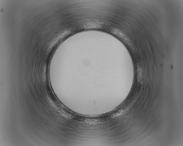 X0000062650490200601181813