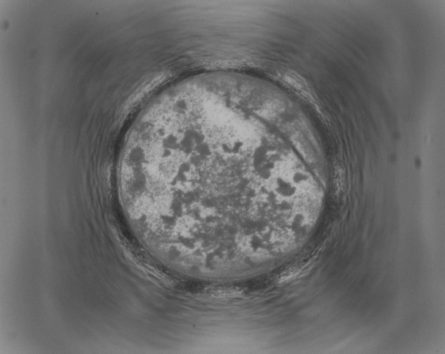 X0000062650491200601181813