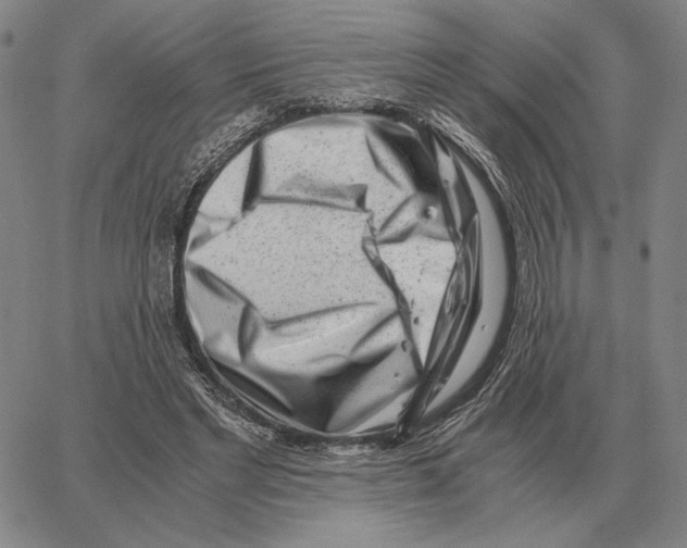 X0000062650493200601181813