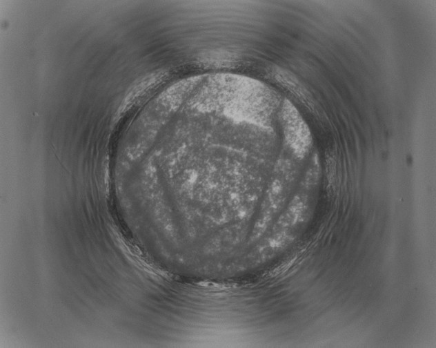 X0000062650494200601181813