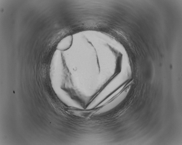 X0000062650495200601181813