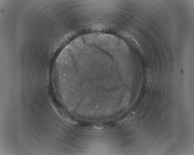 X0000062650496200601181813