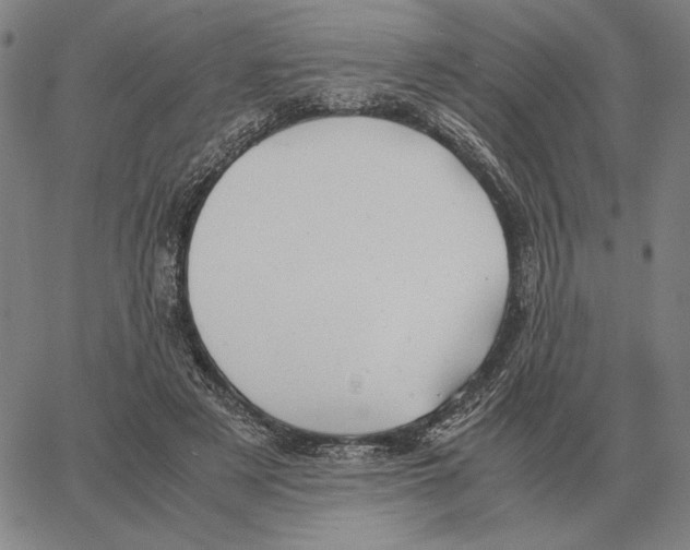 X0000062650497200601181813