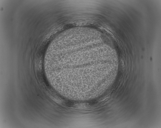 X0000062650499200601181813