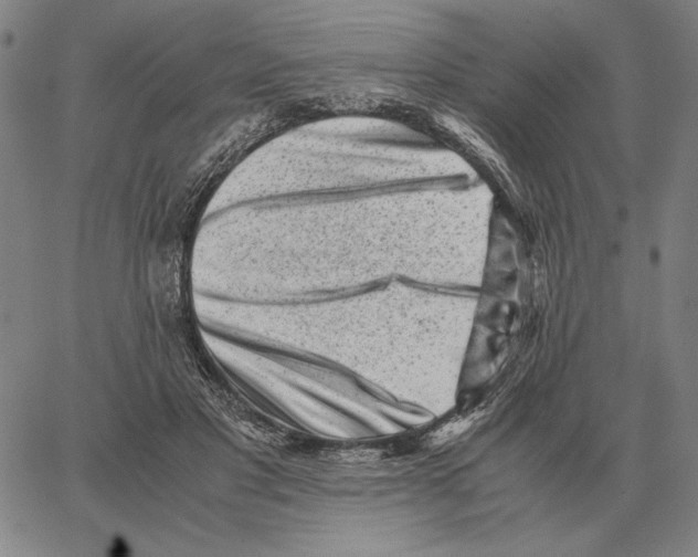 X0000062650501200601181813