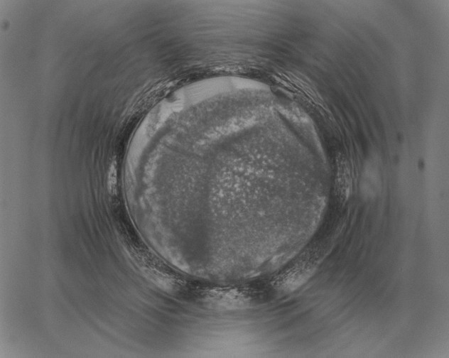 X0000062650502200601181813