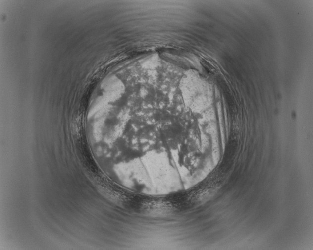 X0000062650503200601181813