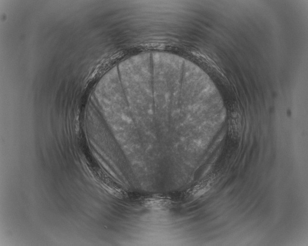 X0000062650504200601181813