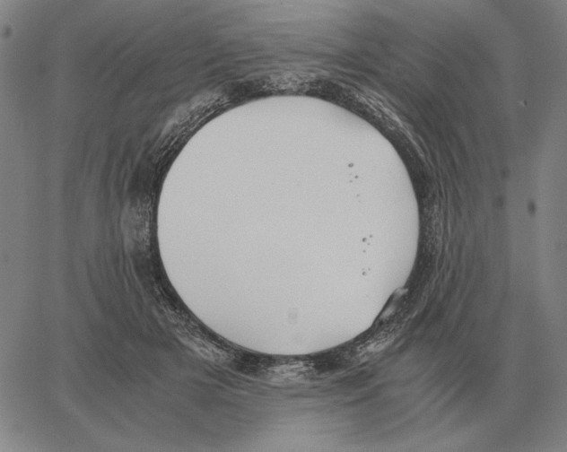 X0000062650505200601181813