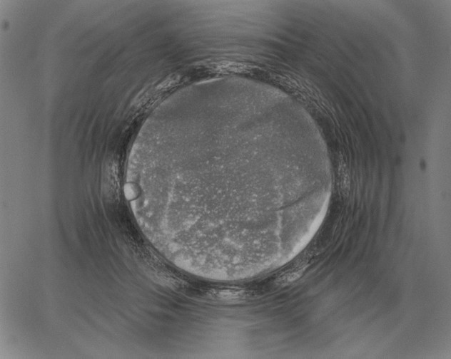 X0000062650506200601181813