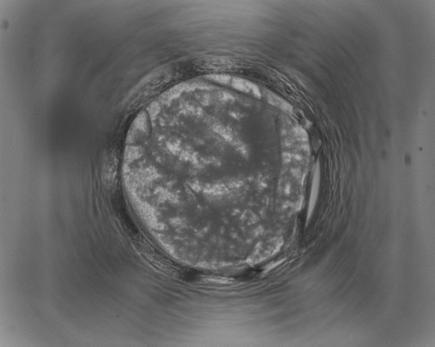 X0000062650507200601181813