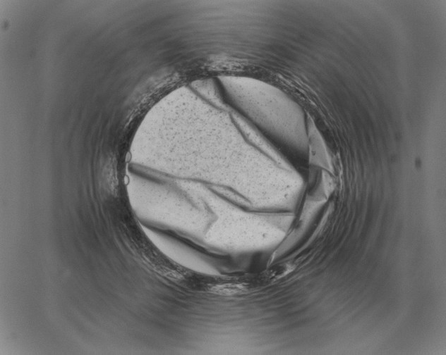 X0000062650508200601181813