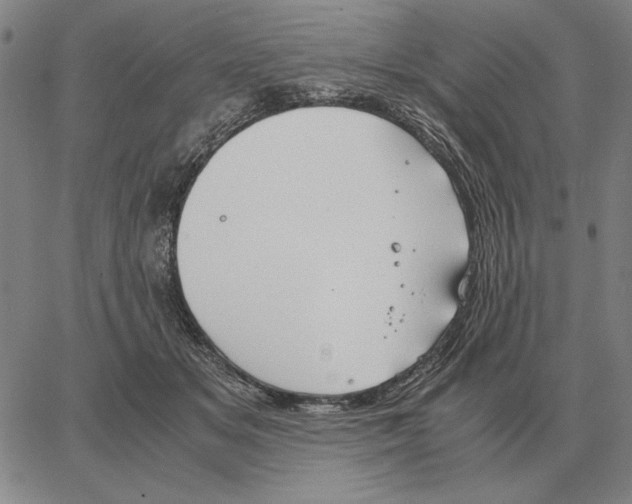 X0000062650509200601181813