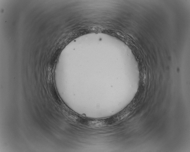 X0000062650511200601181813