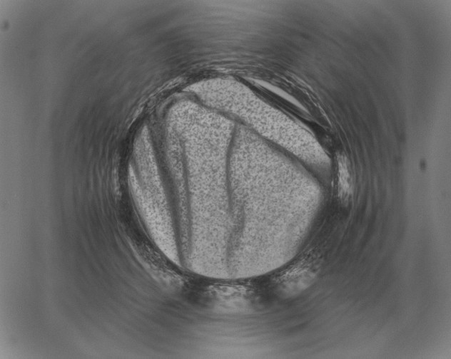 X0000062650512200601181813