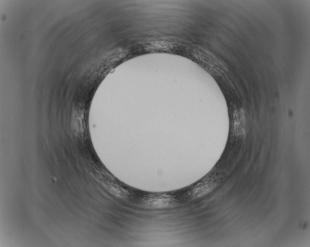 X0000062650514200601181813