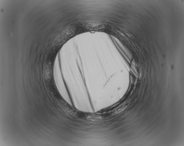 X0000062650515200601181813