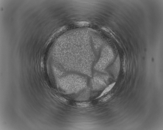 X0000062650516200601181813