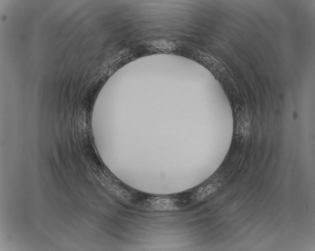 X0000062650518200601181813