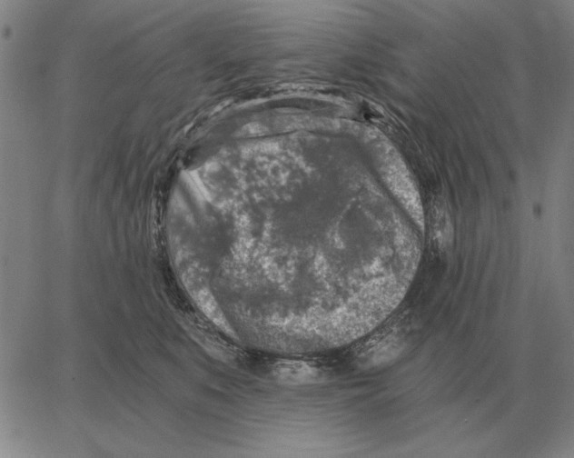 X0000062650519200601181813