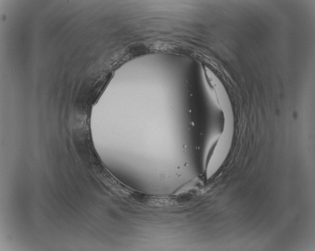 X0000062650521200601181813