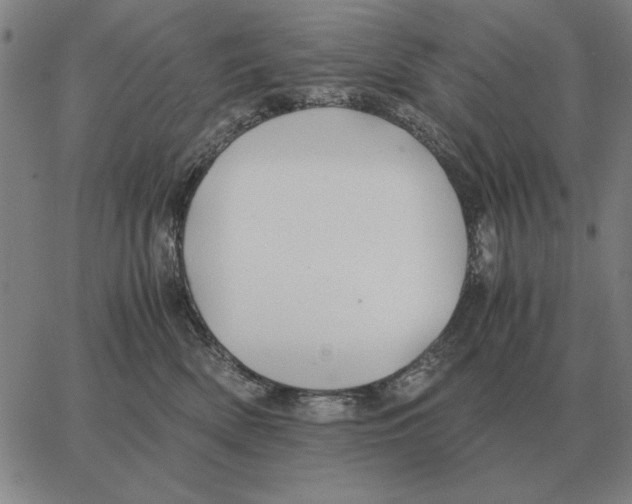 X0000062650522200601181813