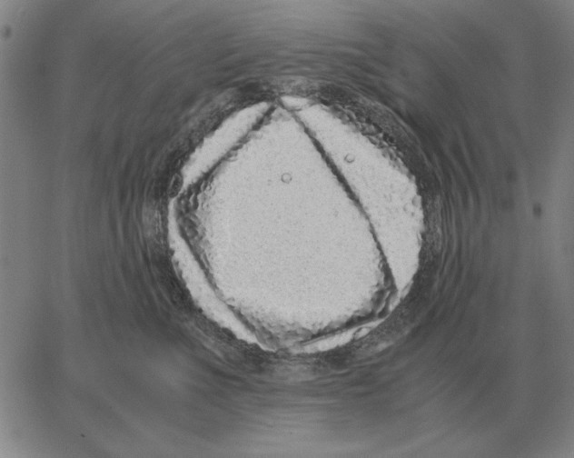 X0000062650523200601181813