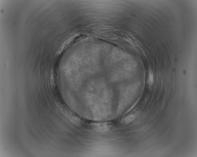 X0000062650524200601181813