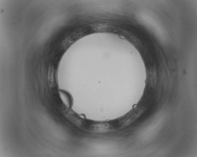 X0000062650525200601181813