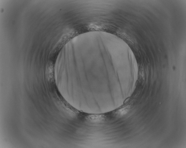 X0000062650526200601181813