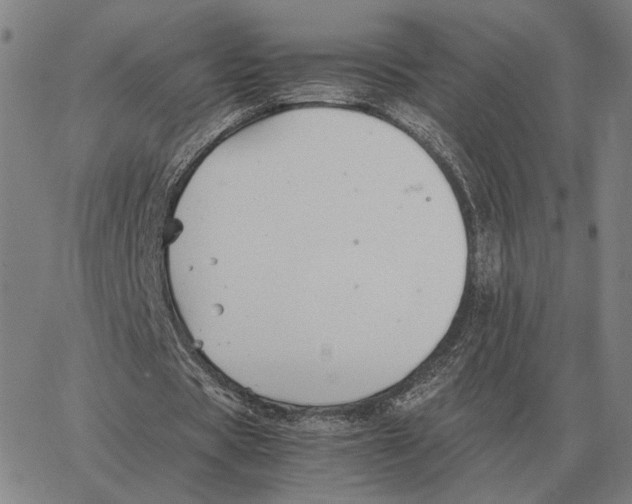 X0000062650529200601181812