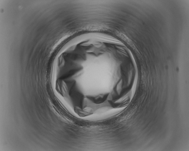 X0000062650530200601181812