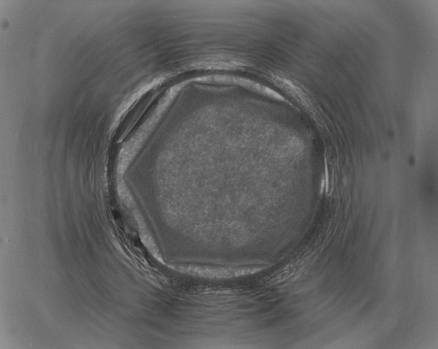 X0000062650531200601181812