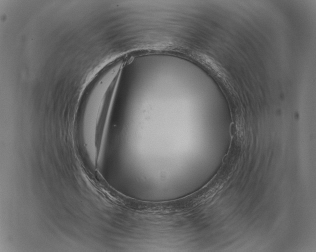 X0000062650532200601181812