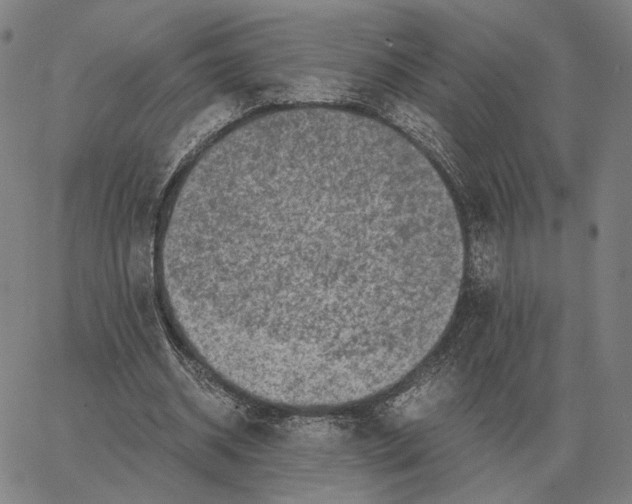 X0000062650534200601181812