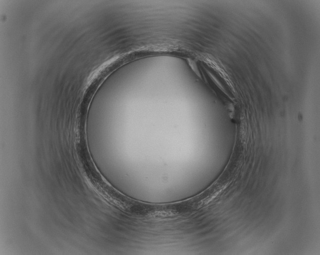 X0000062650536200601181812